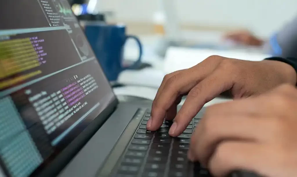 Css Eğitimi Sertifikası