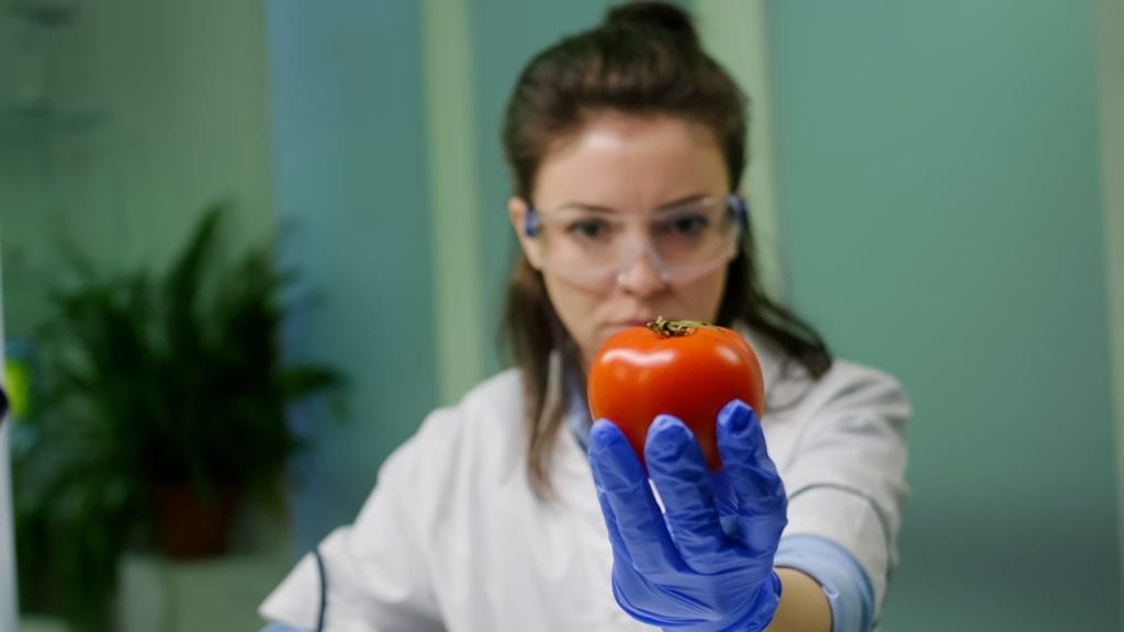 front view biologist reseacher woman analyzing pepper injected with chemical dna scientific agriculture experiment pharmaceutical scientist working microbiology laboratory ISO 22000 Gıda Güvenliği Sertifikası