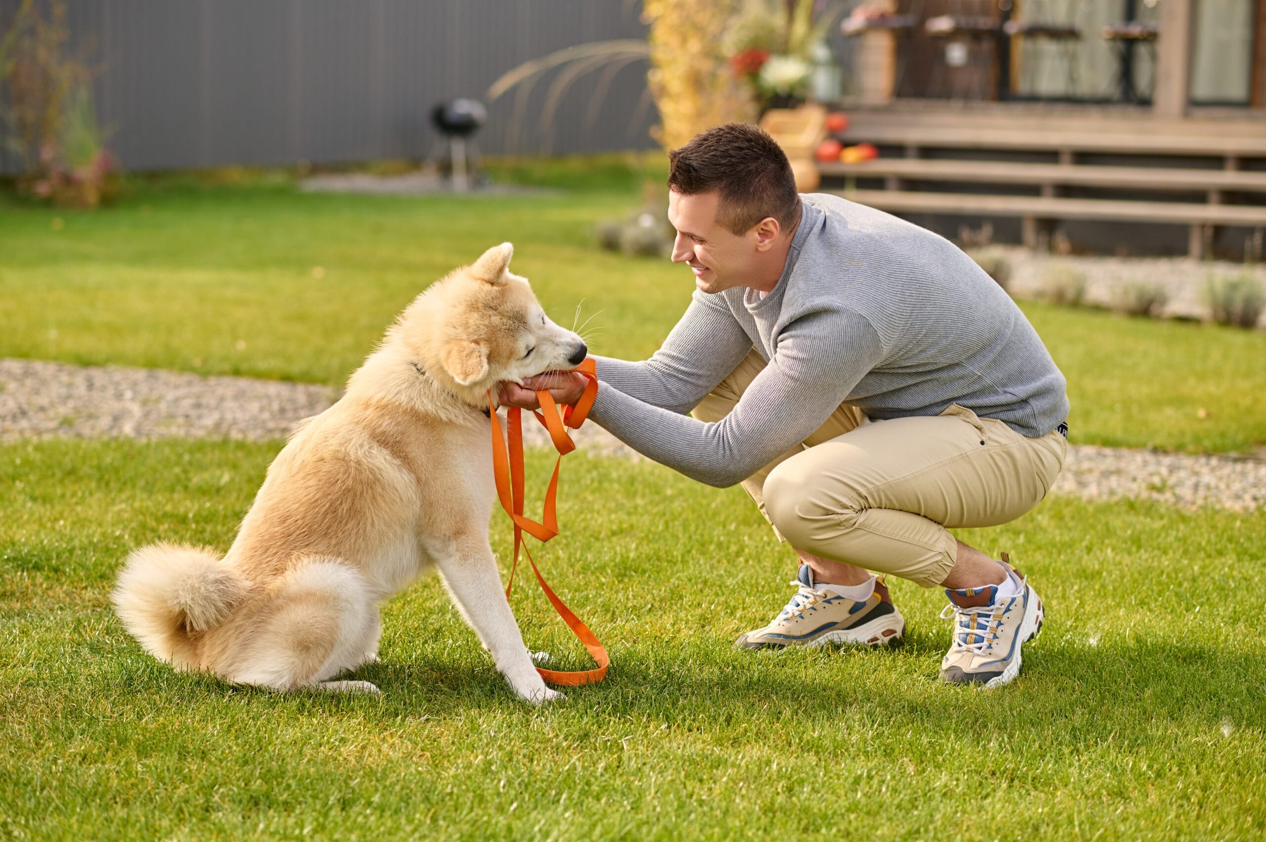 Köpek Eğitmenliği Sertifikası